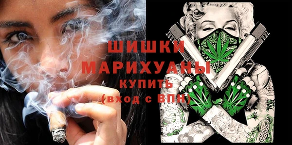 мдпв Осинники