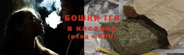 мдпв Осинники