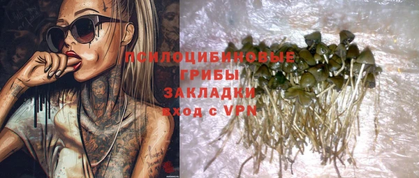 мдпв Осинники