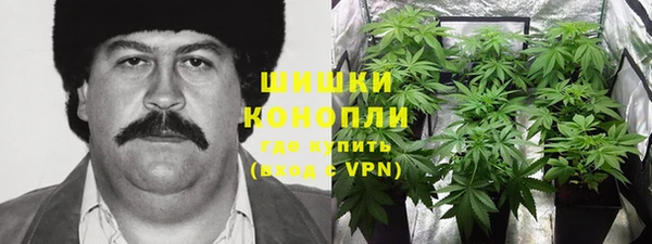молекула духа Удомля